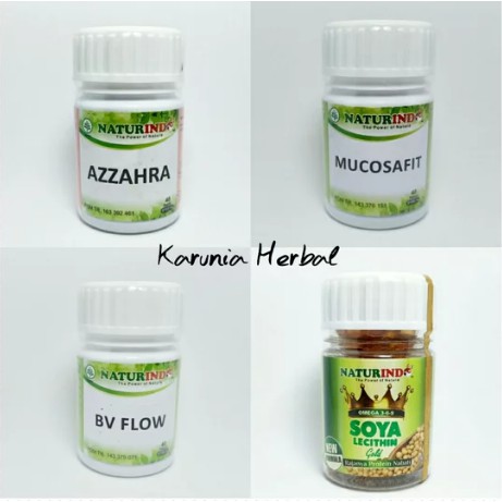 Paket Obat Herbal Program Kehamilan Naturindo