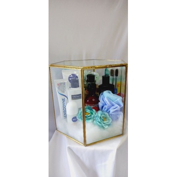 Terarium Glass Box
