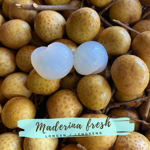 

Buah Longan / Lengkeng