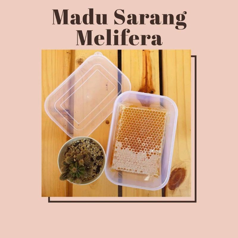 [500gr] Sarang Madu / Madu Sarang Lebah Mellifera Asli 100%
