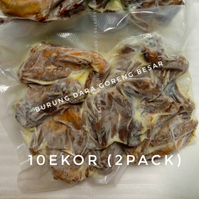 

Burung dara goreng premium vacum 1pack 5ekor super large