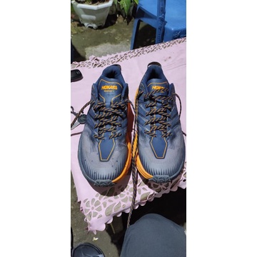 Hoka oneone speedgoat4