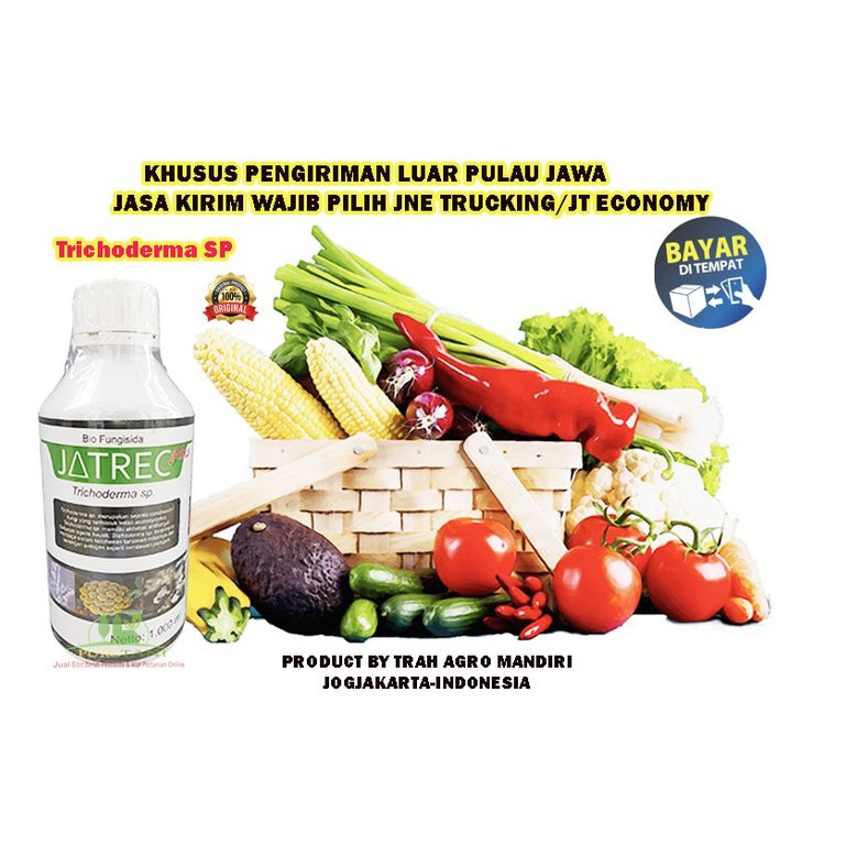 Pencegah Layu Trichoderma sp 1lt