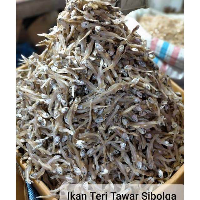 

Ikan Teri tawar Sibolga