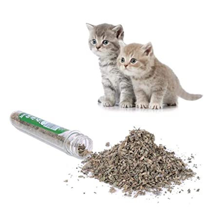 CATNIP TOYS Kucing Cat Kitten Tube Cat Nip Penenang Anti Stress Stress Relief Kucing Daun Catnip Mint