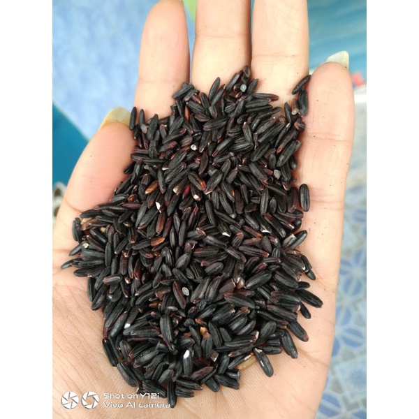 

Beras hitam