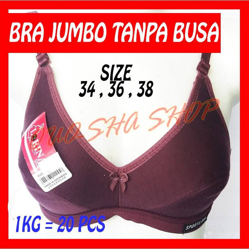 BH Lorina Polos Sport Bra BH Senam Olahraga Tanpa Busa Size Standar 34, 36, 38