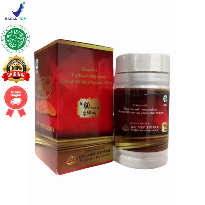 Kapsul Gamat Emas Bio Gold  Isi 75 Original BPOM