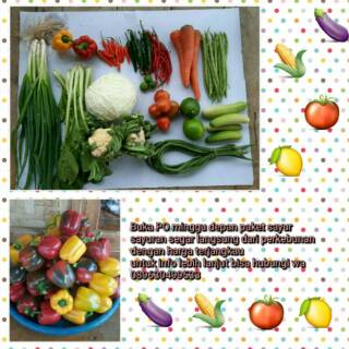 Jual Pesanan Sayur Kak Ayu IndonesiaShopee Indonesia