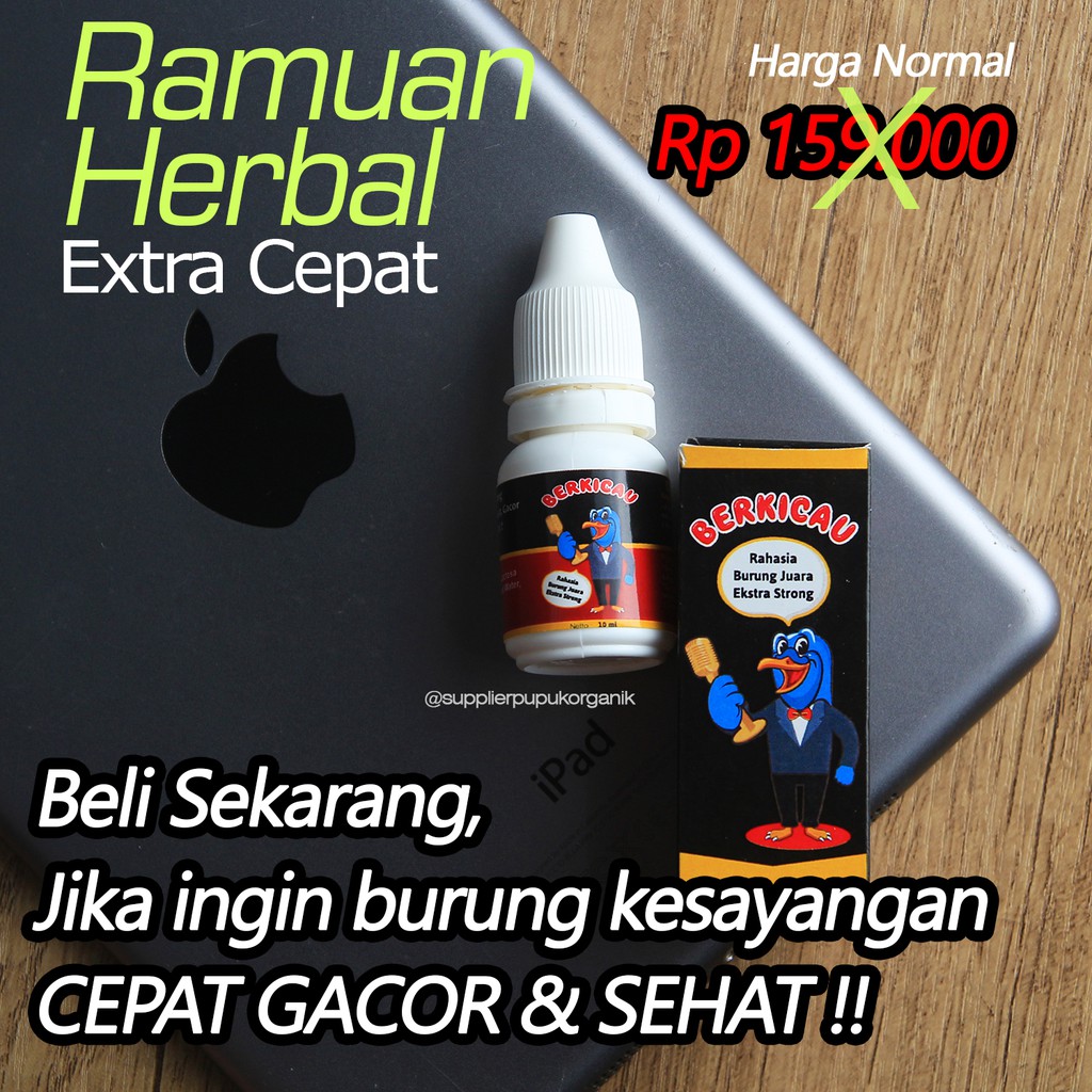 085228791932, Vitamin Burung Murai Terbaik, Vitamin murai batu, Vitamin Murai Mabung