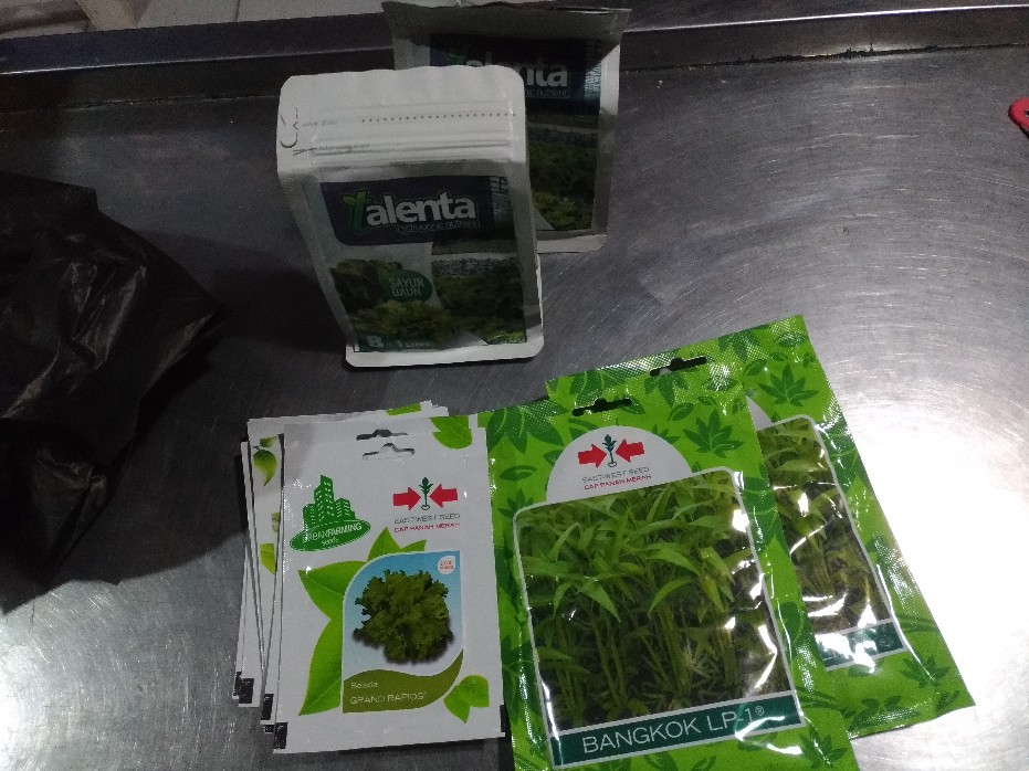 Benih Timun Jepang Ronaldo F1