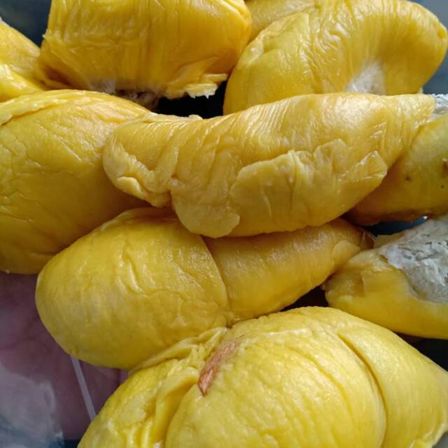 

Durian musangking dari malaysia