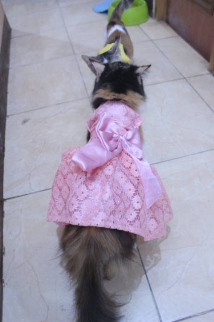 Dress renda satin pink lucu untuk kucing dan anjing / baju kucing murah size S-XL