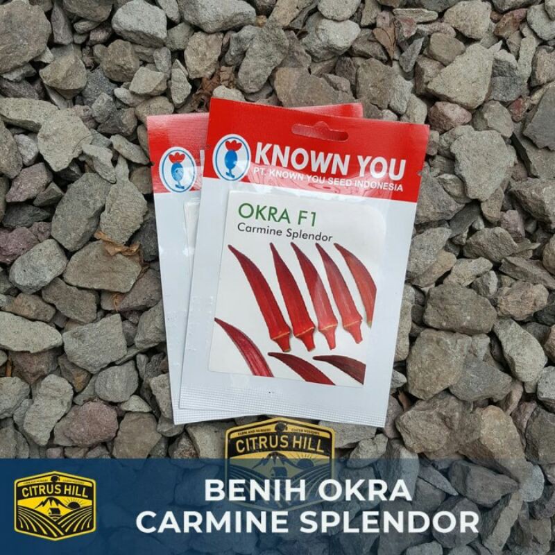 Benih Okra Merah Carmine Splendor Known You Seed SP

