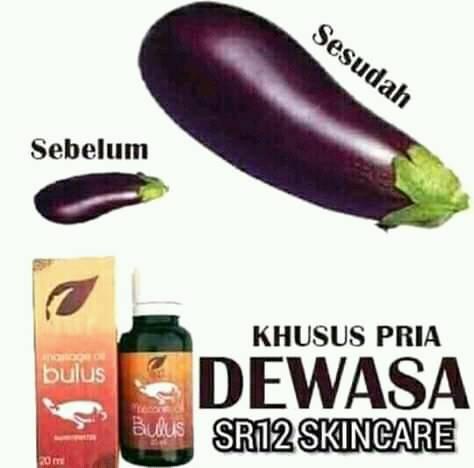 Minyak Bulus Asli Minyak Bulus Papua Pembesar Mr P Pembesar Alat Vital Pria Pembesar Penis Shopee Indonesia