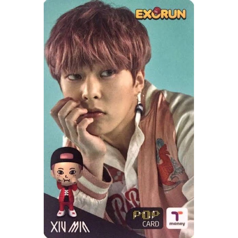 t-money exo xiumin