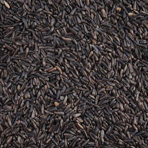 BIJI NIGER SEED 1KG PAKAN BURUNG BERKICAU SISKIN BLACKTHROAT KENARI DLL