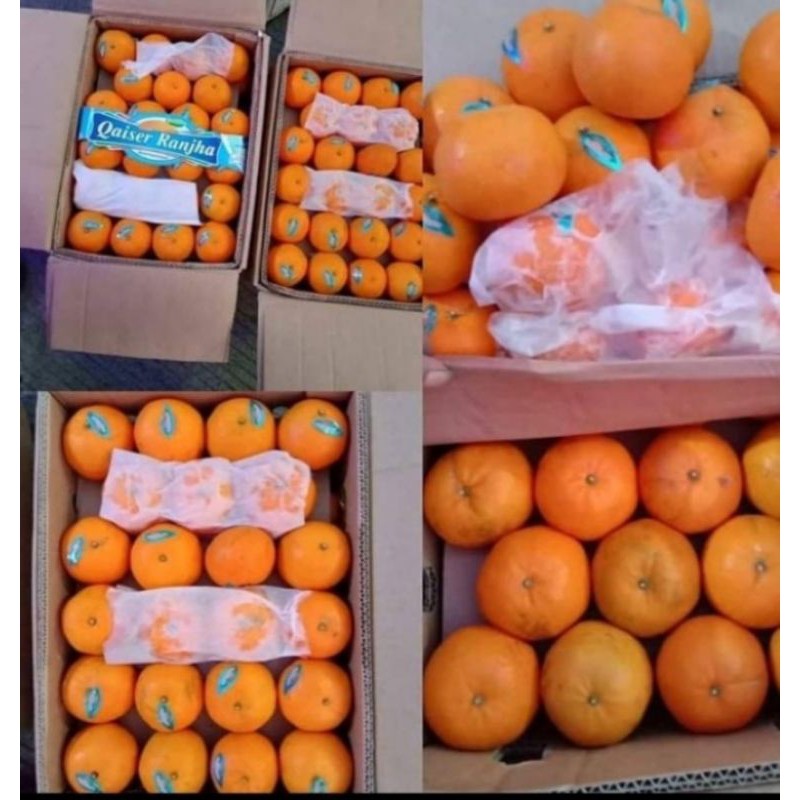 

Jeruk kinov mandarin per 1 box