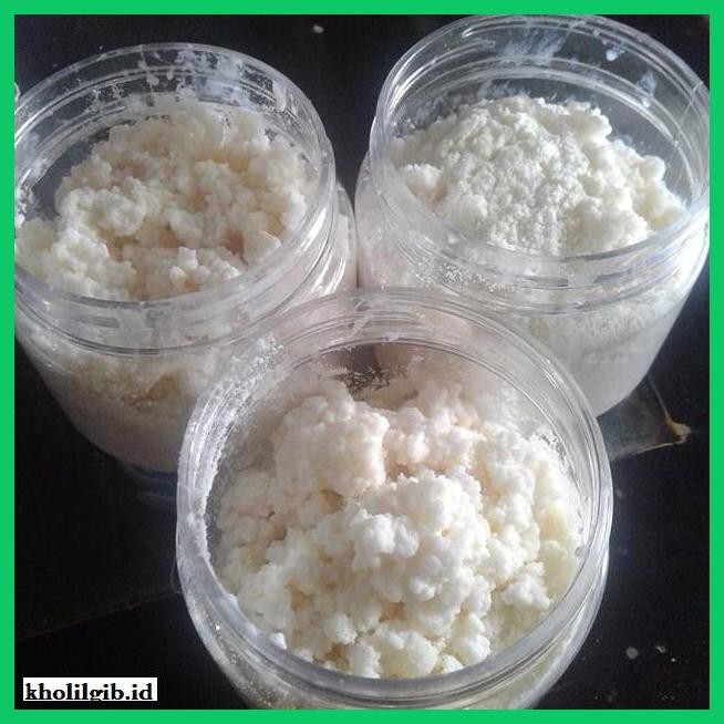 

lanoisidartdrink- bibit kefir/grainkefir -asliii-bngittt.