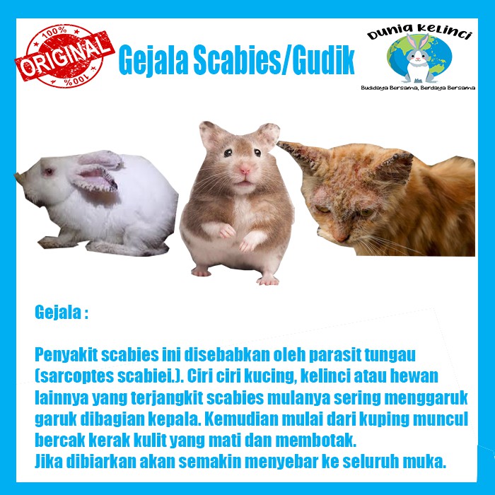 WORMECTIN 2 ML OBAT SCABIES GUDIK JAMUR PARASIT CACING KELINCI KUCING ANJING HAMSTER SAPI HEWAN