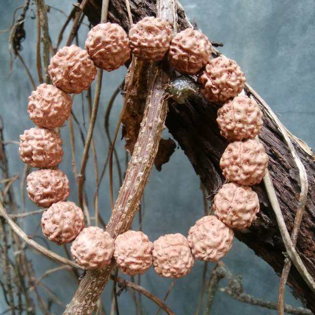 GELANG JENITRI MUKHI 4