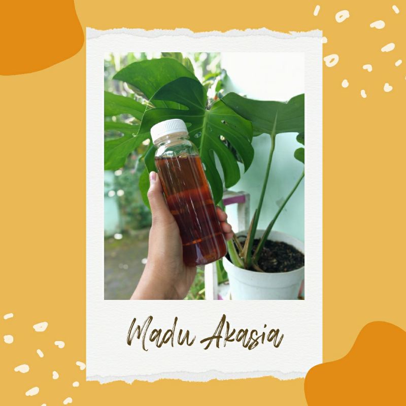 

Madu Akasia