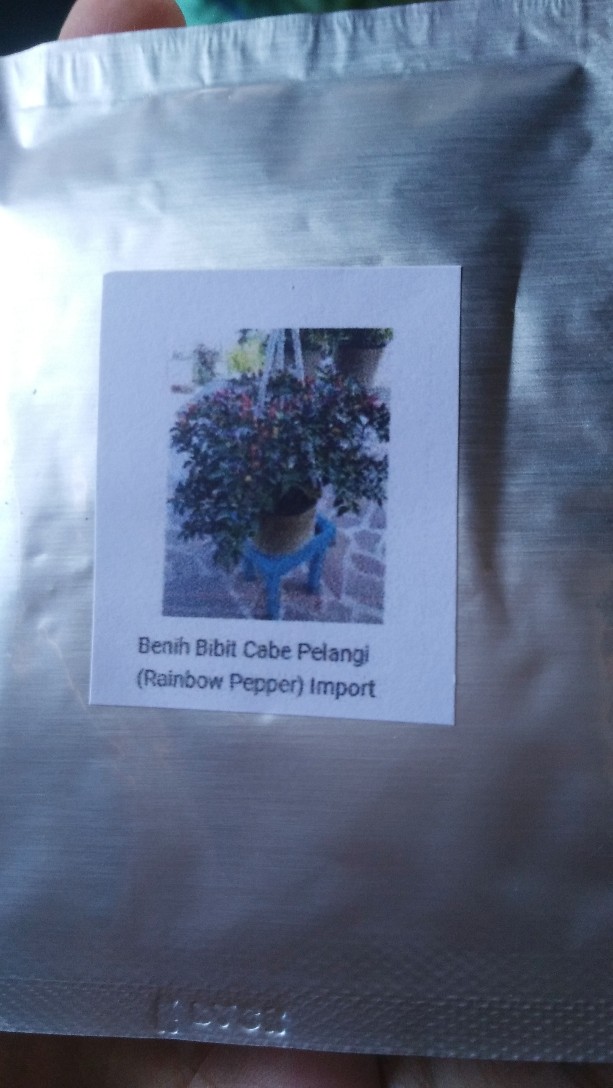 Benih Bibit Cabe Pelangi (rainbow Pepper)