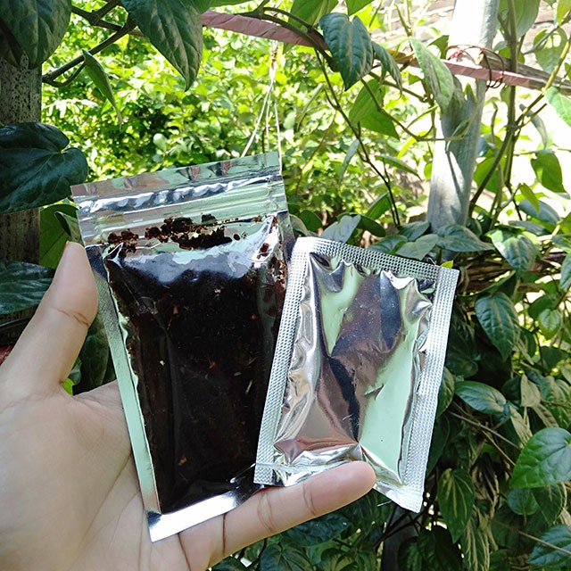 

Sambal hitam Madura