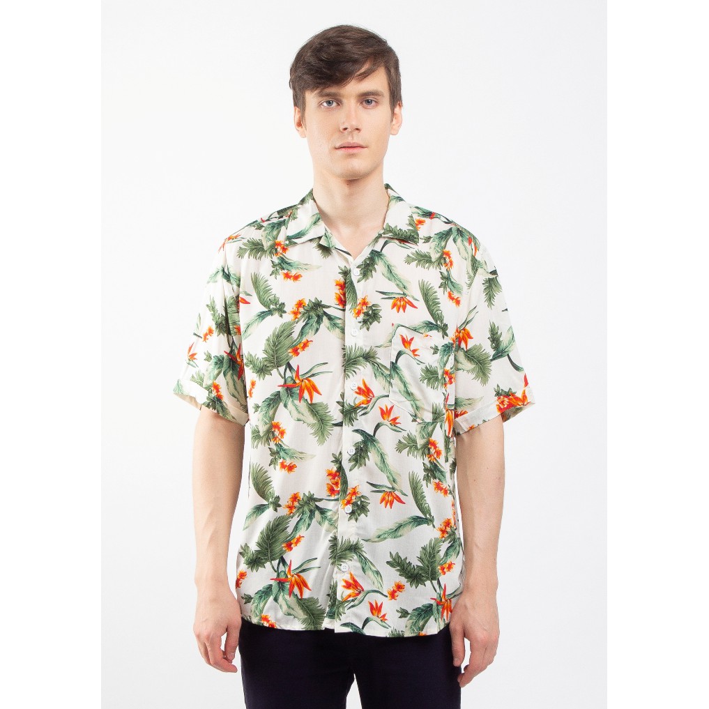 

Erigo Hawaii Portia White