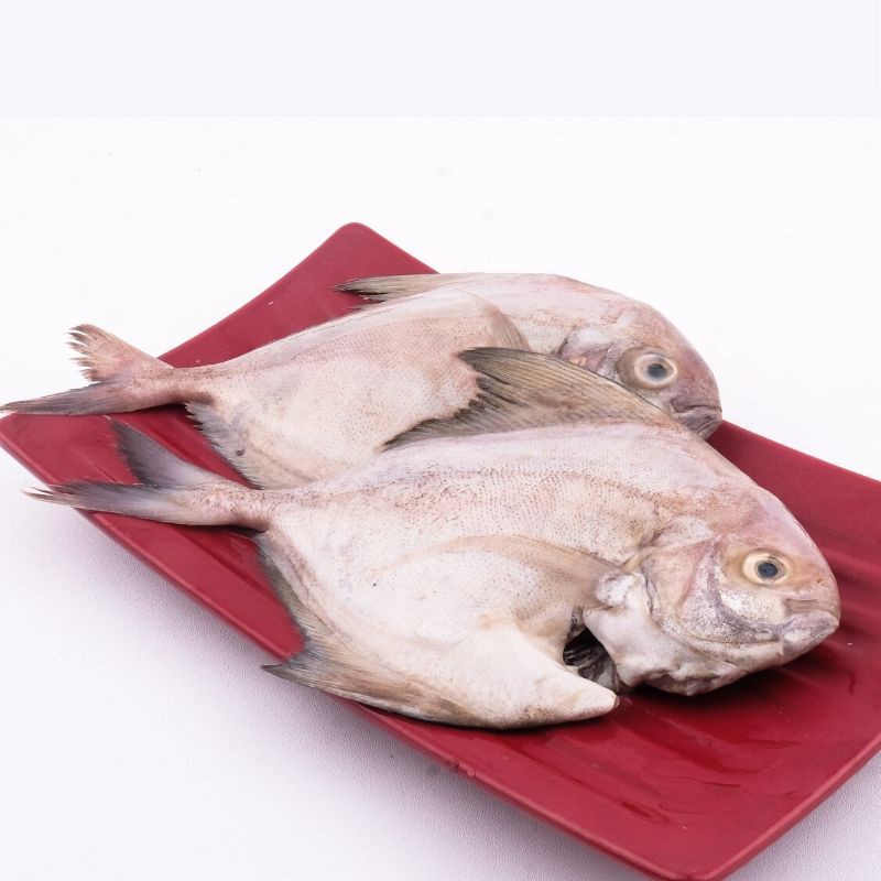 

Ikan Dorang Segar 500Gram