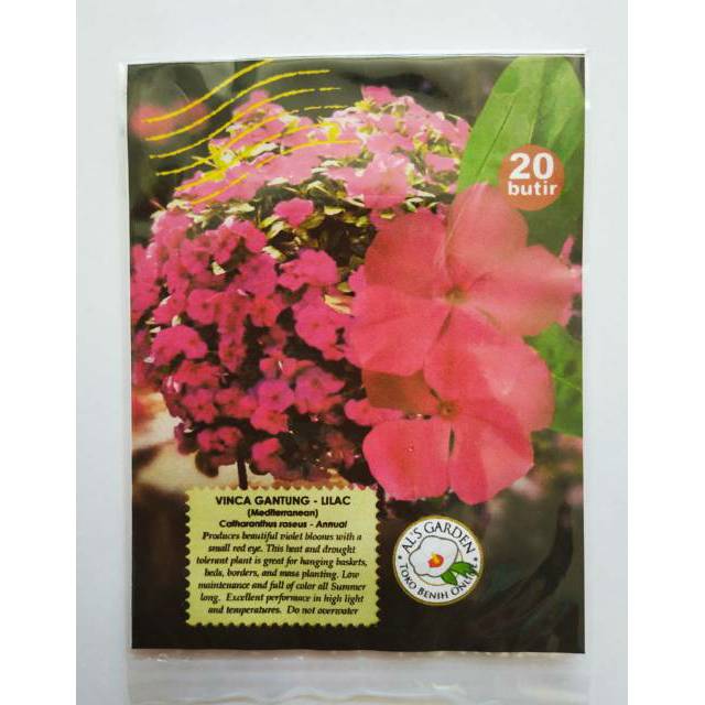 Benih Biji Bunga Vinca Gantung Lilac Pack - Als Garden
