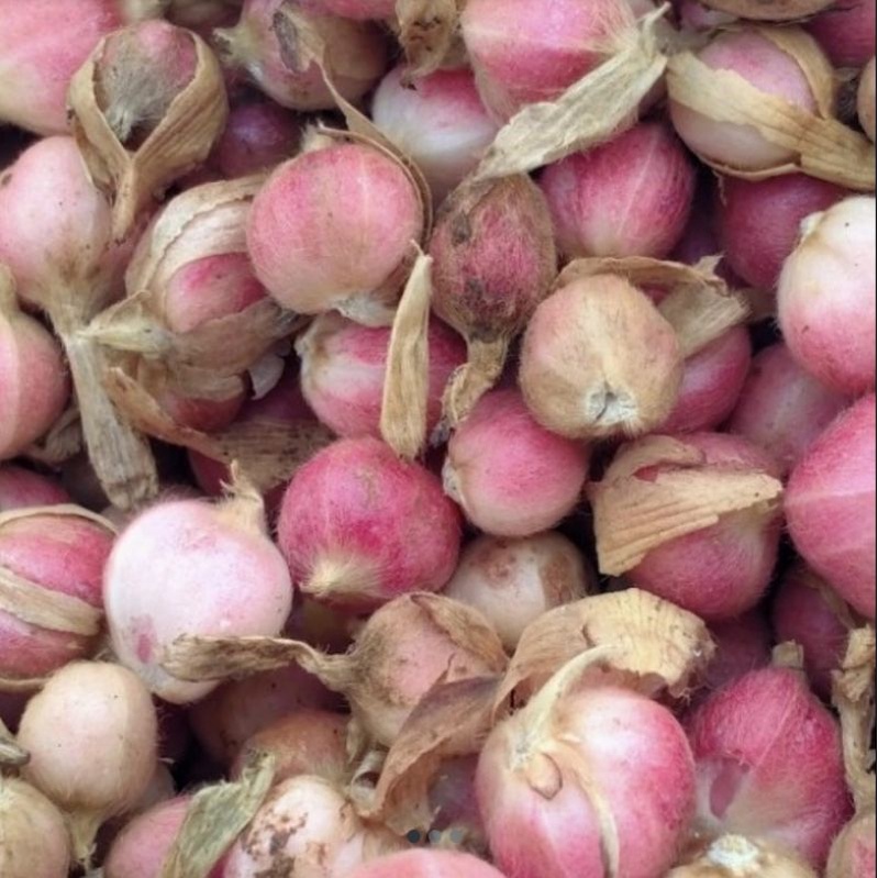 

Rempah kapulaga pres 1kg