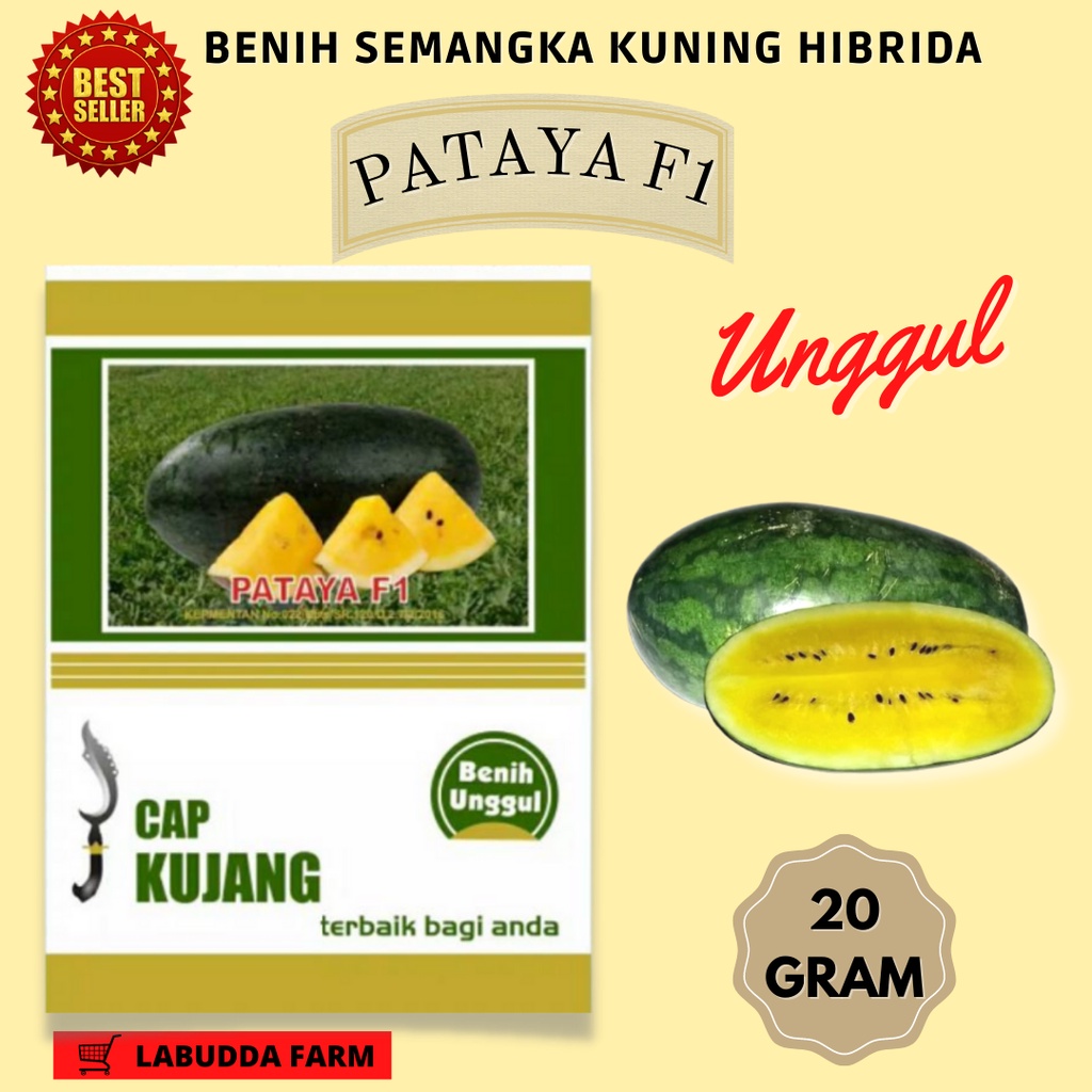 Bibit Semangka - Benih Semangka - Bibit Semangka Kuning - Biji Semangka - Bibit Buah Semangka - Beni