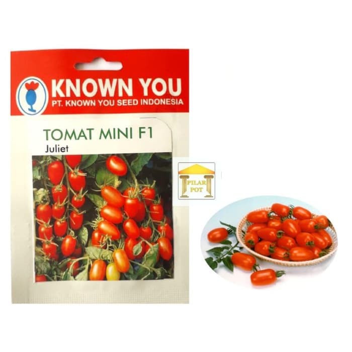 

Promo benih bibit tomat mini f1 juliet known you seed - kys Berkualitas