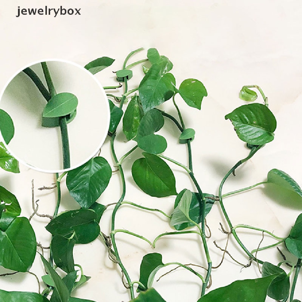 (jewelrybox) 10pcs / Set Klip Pengikat Tanaman Merambat Bahan Plastik Untuk Perlengkapan Berkebun