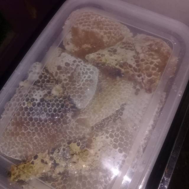 

Madu hutan asli