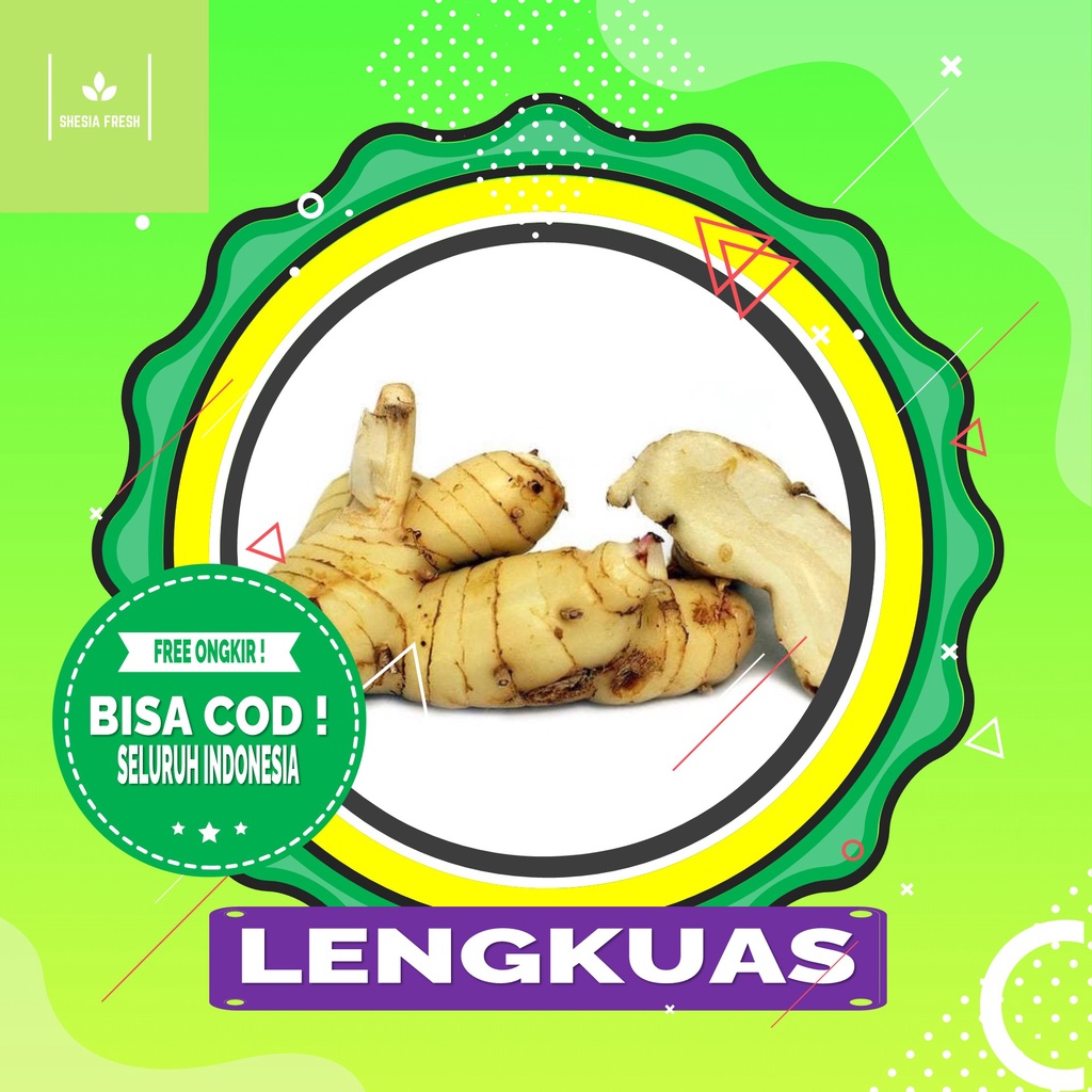

Shesia Fresh - Lengkuas Organik 250 gram