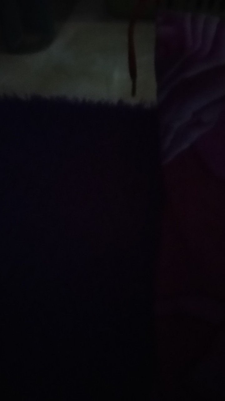 Kuas Silikon Kuas Silicon Kuas Masak Kuas Roti Minyak Margarin Saus Bumbu Silikon Peralatan Masak