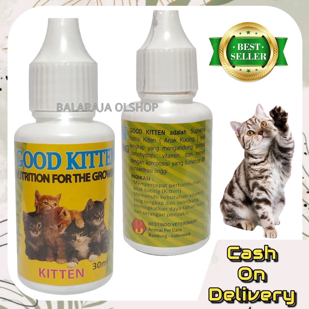 Vitamin Kucing Kitten Anak Kucing Kecil Penambah Nafsu Makan Good Kitten