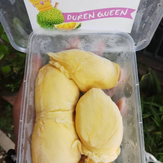 

DUREN MONTONG by DUREN QUEEN
