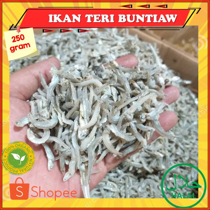 

Ikan Teri Buntiau Buntiaw Buntio Medan Super 250 Gr