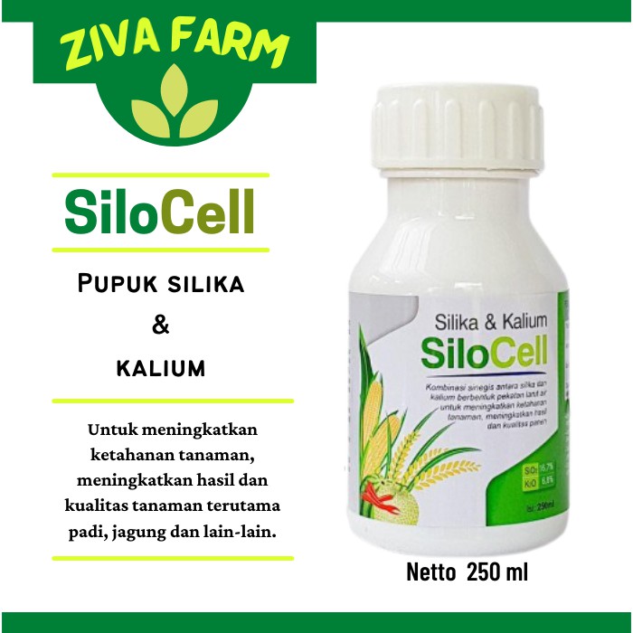 Jual Pupuk Kalium Dan Silika Silocell Nutrisi Penguat Tanaman 250ml