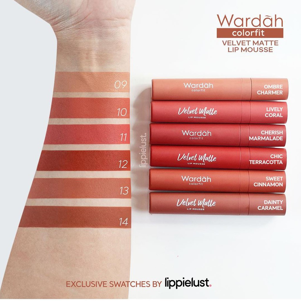 Wardah Colorfit Velvet Matte Lip Mousse