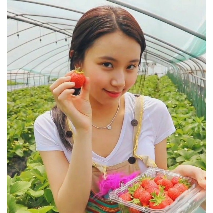 

chaeyoung strawberry BACA DESKRIPSI