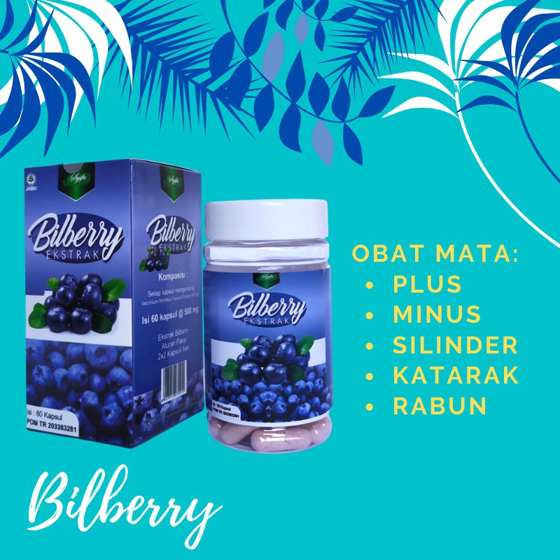 Jual kapsul BILBERRY kapsul ekstrak bilbery SYIFA HERBAL obat mata