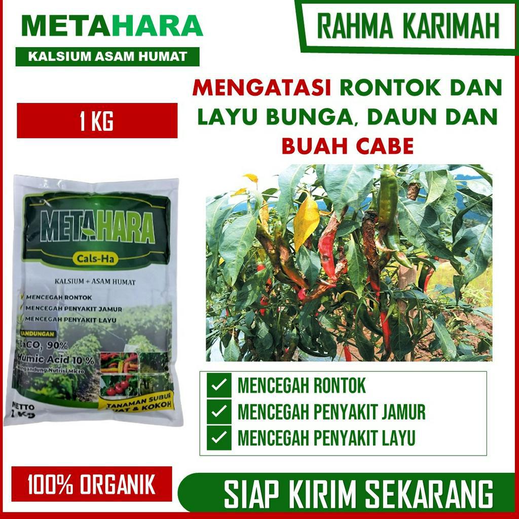 PUPUK Cabai Anti Rontok dan Layu METAHARA isi 1 KG – Pupuk Organik Untuk cabai Anti Layu dan Rontok 