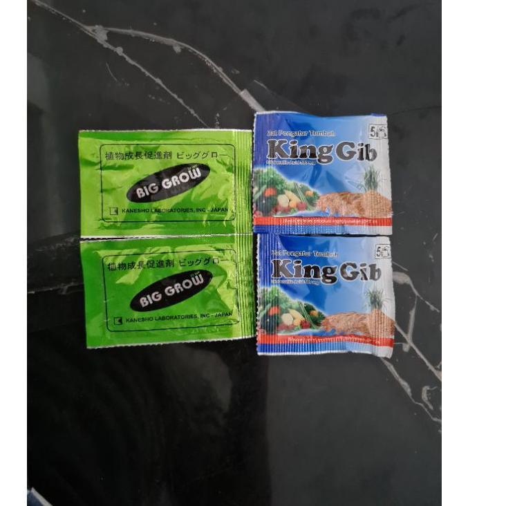 [AL1305] Paket BIG GROW BIGGROW dan KINGGIB KING GIB PEMBESAR BUAH NAGA 493