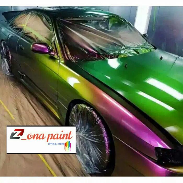 Ochieofc Cat Bunglon Chameleon