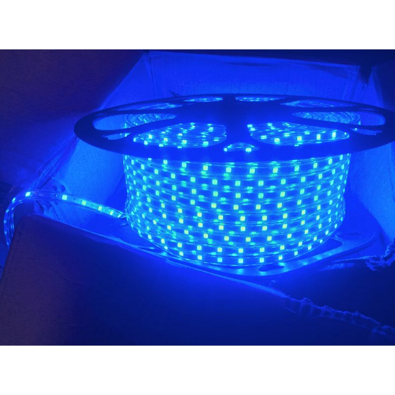 lampu LED strip Light