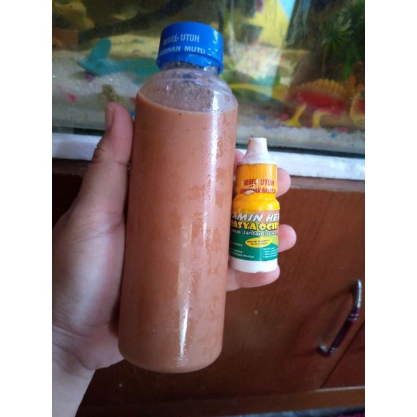 Rasya ocid vitamin herbal khusus burung Lovebird paud 250ml